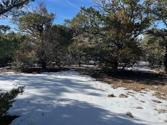 a view of outdoor space with wooden floor