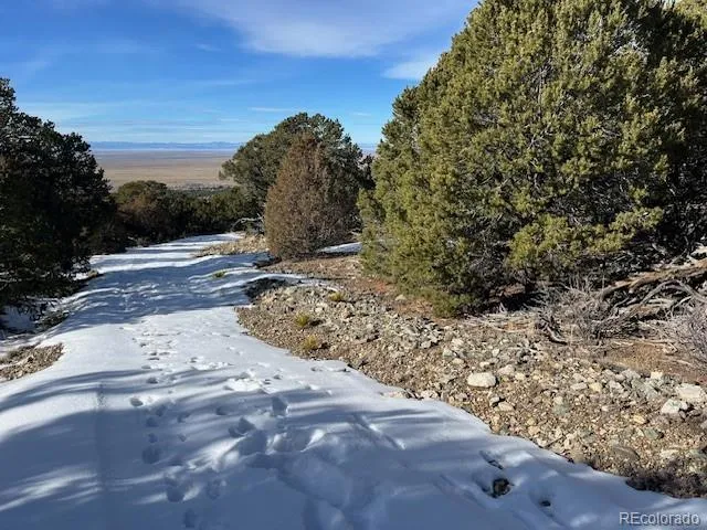 a view of a yard with mountain view
