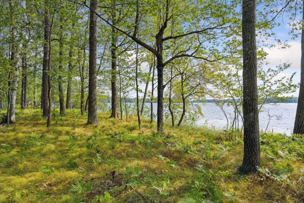 $2,900,000 | 28549 305th Place, Aitkin, MN 56431