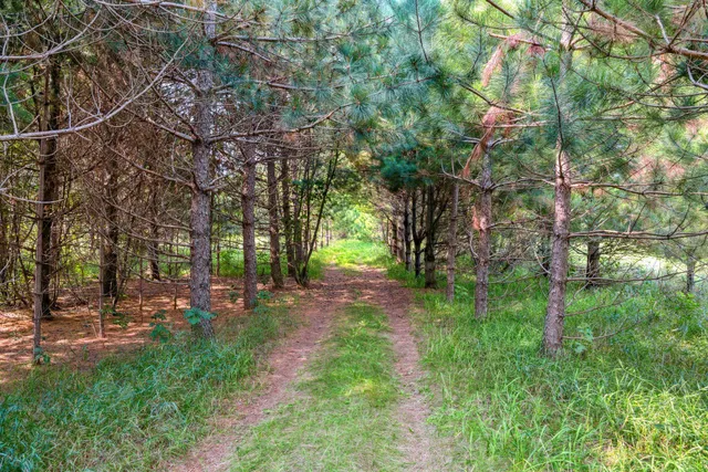 $2,900,000 | 28549 305th Place, Aitkin, MN 56431