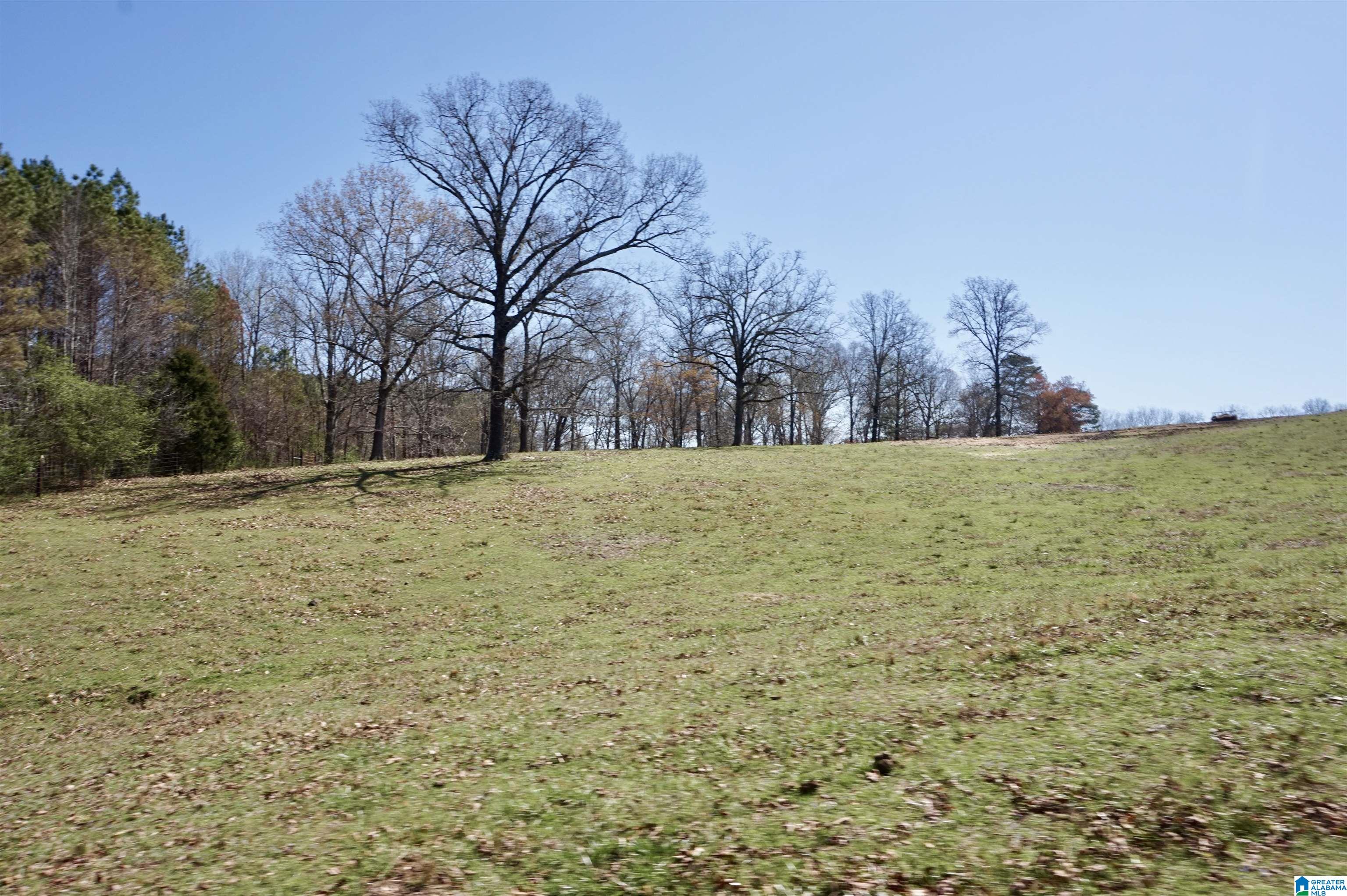 8115 Helicon Road Arley, AL 35541 - Photo 77 of 86