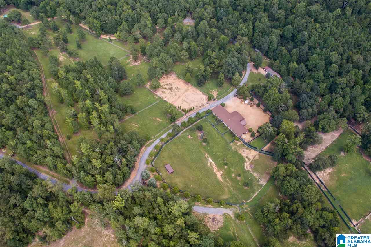 307 Clarecastle Lane Vincent, AL 35178 - Photo 4 of 31