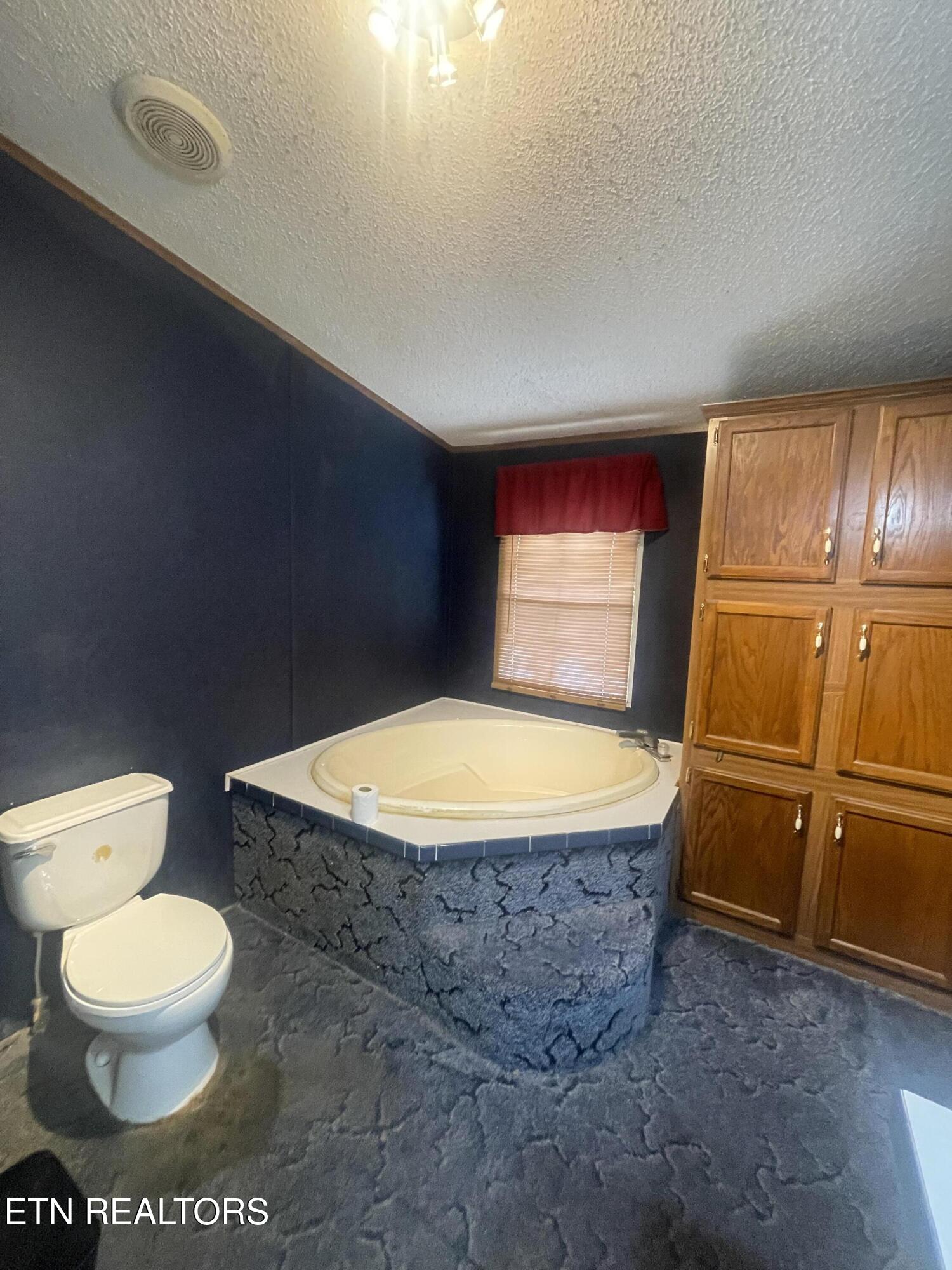 10320 Patsy Cline Way Strawberry Plains, TN 37871 - Photo 12 of 17 IMG_8138