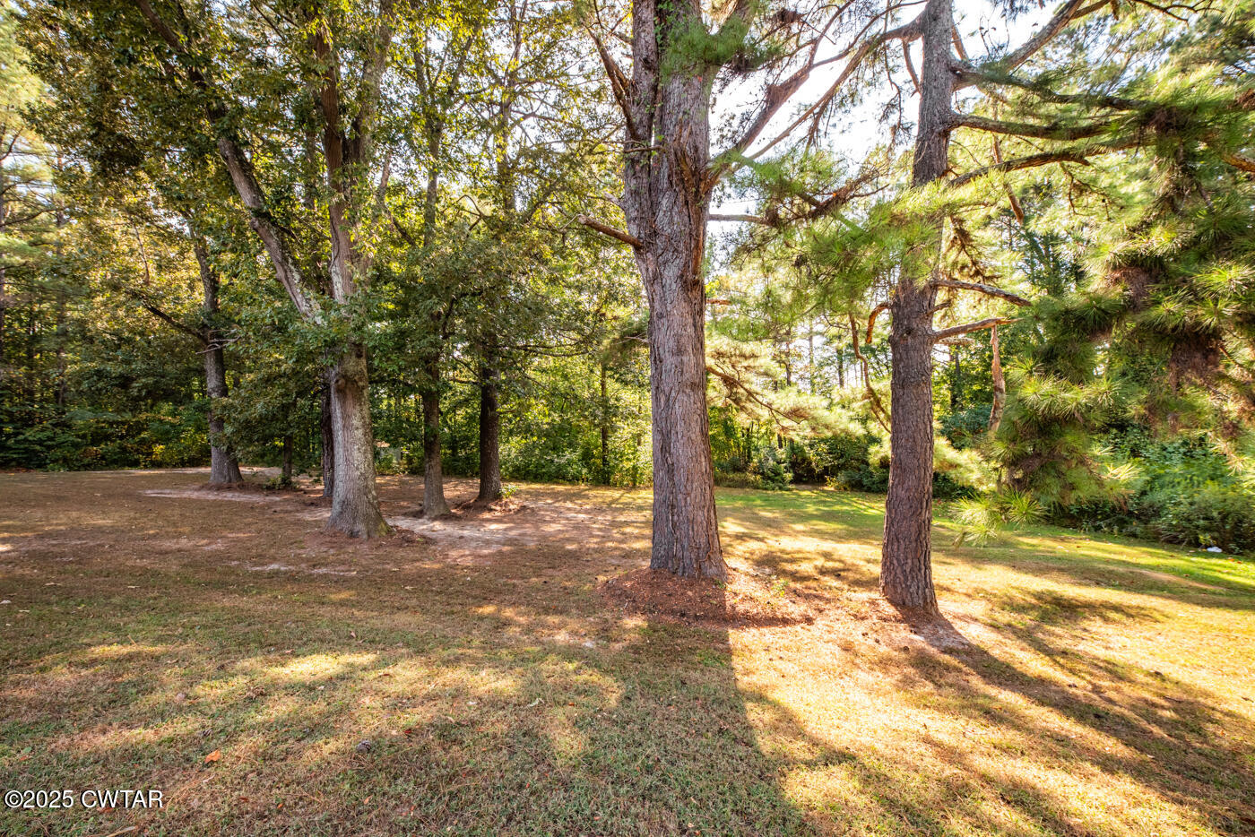1840 Blue Goose Road Huron, TN 38345 - Photo 26 of 35 a view of a yard with plants and trees