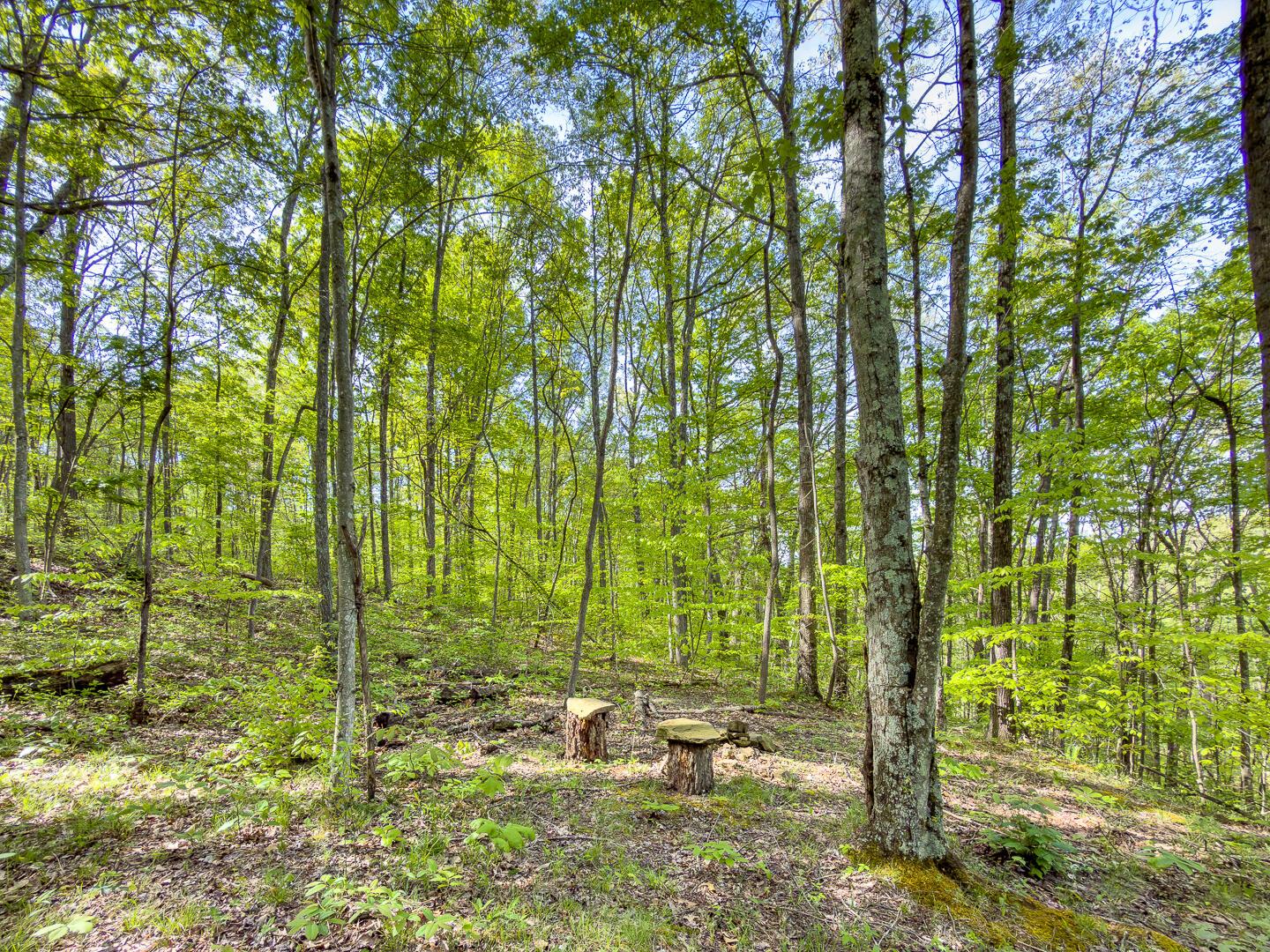 2 Perry Ridge Road Wilkesville, OH 45695 - Photo 20 of 27 Perry Ridge Rd Tract 2-12
