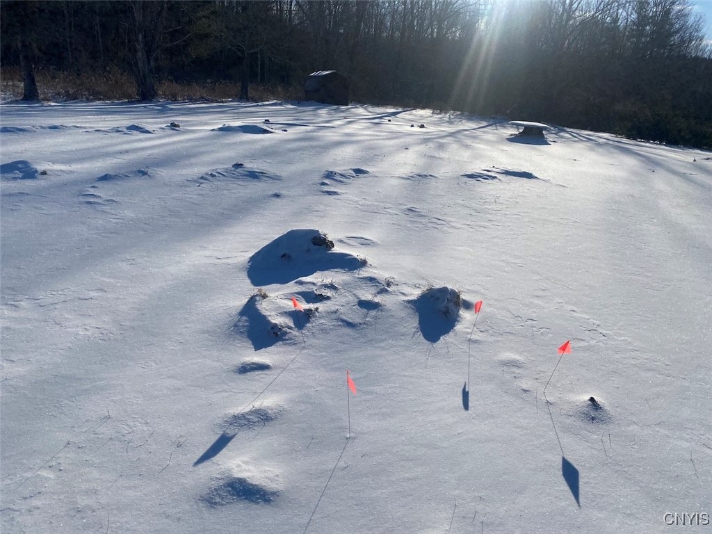 8708 Oramel Hill Road Caneadea, NY 14717 - Photo 2 of 11