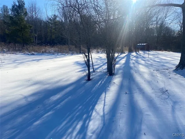 $31,900 | 8708 Oramel Hill Road, Caneadea, NY 14717