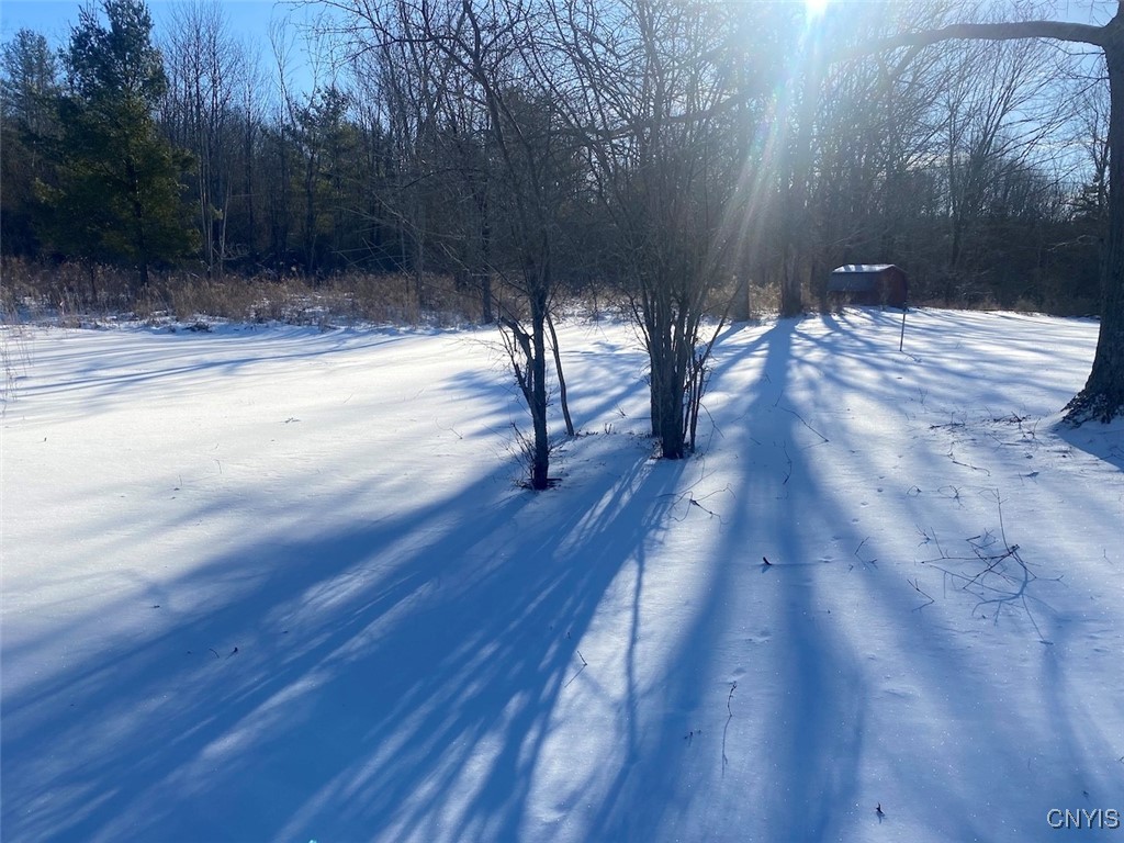 8708 Oramel Hill Road Caneadea, NY 14717 - Photo 5 of 11