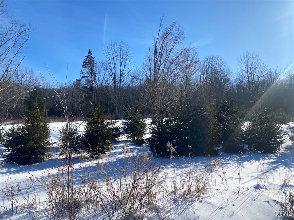 8708 Oramel Hill Road Caneadea, NY 14717 - Photo 6 of 11