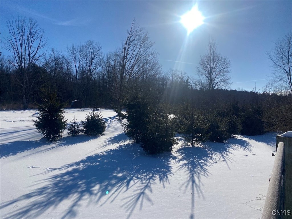 8708 Oramel Hill Road Caneadea, NY 14717 - Photo 7 of 11