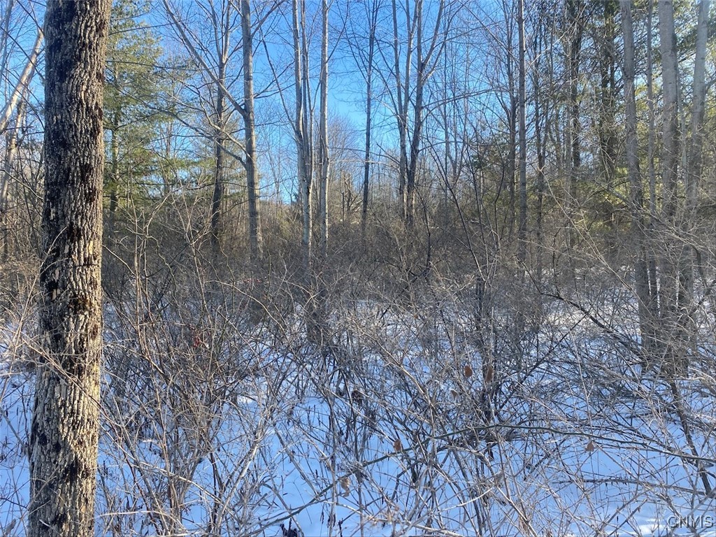 8708 Oramel Hill Road Caneadea, NY 14717 - Photo 8 of 11