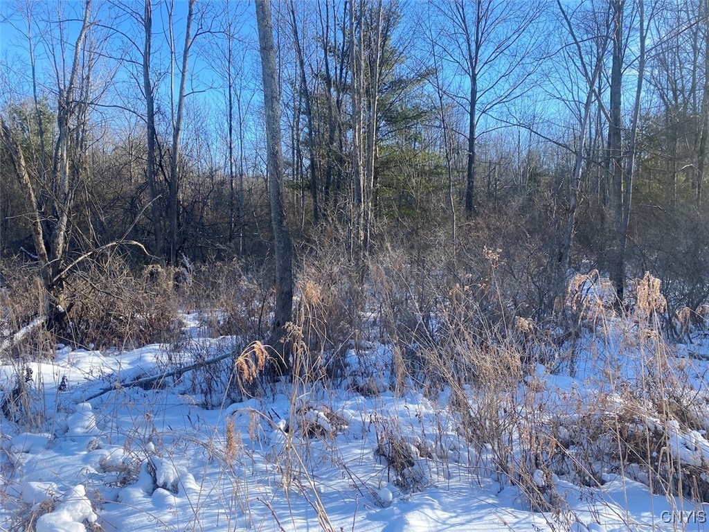 8708 Oramel Hill Road Caneadea, NY 14717 - Photo 9 of 11