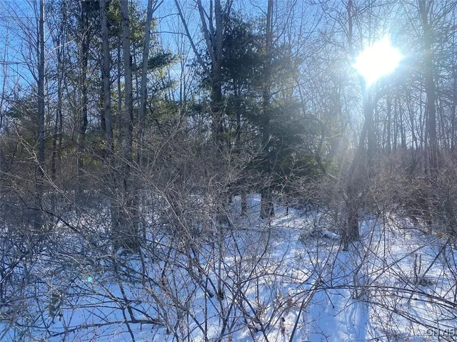 $31,900 | 8708 Oramel Hill Road, Caneadea, NY 14717