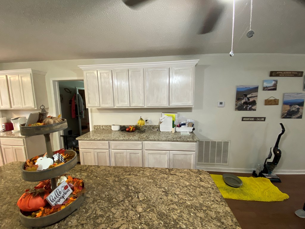 1234 Prevatt Road Dothan, AL 36301 - Photo 11 of 47 Gallery Image 11