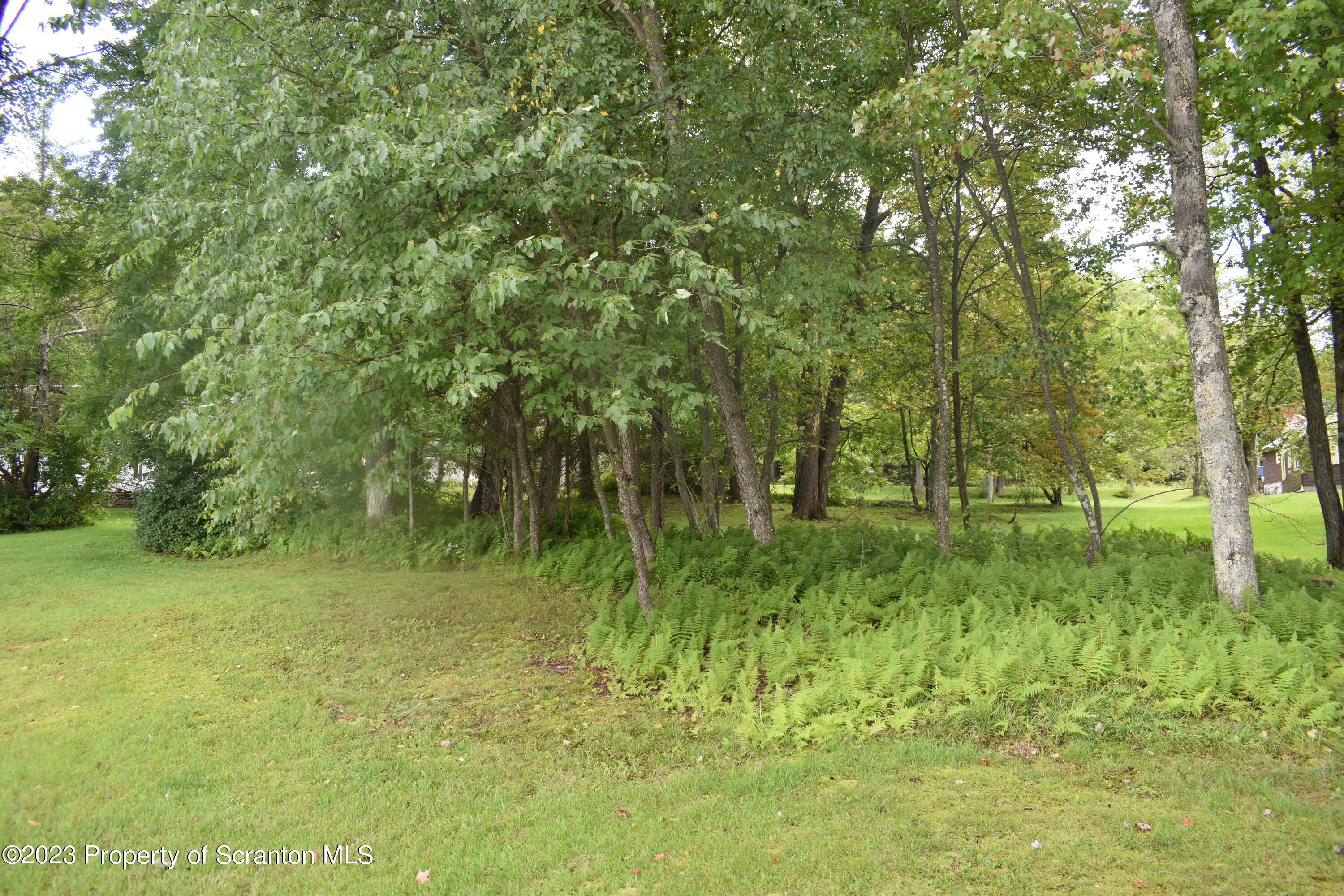 Raylean Road Montrose, PA 18801 - Photo 12 of 21 Gallery Image 12