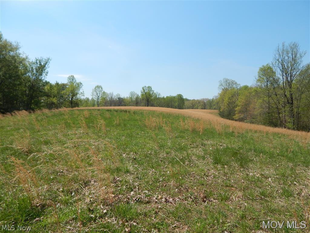 0 Hulderman Ridge Harrisville, WV 26362 - Photo 1 of 18 Gallery Image 1