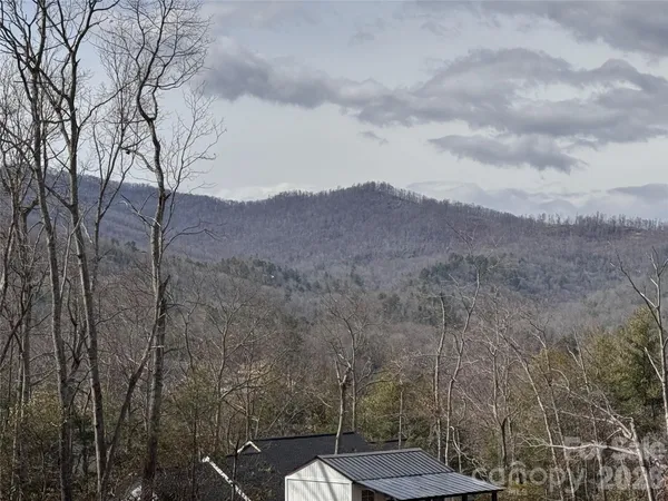 a view of a sky from a yard