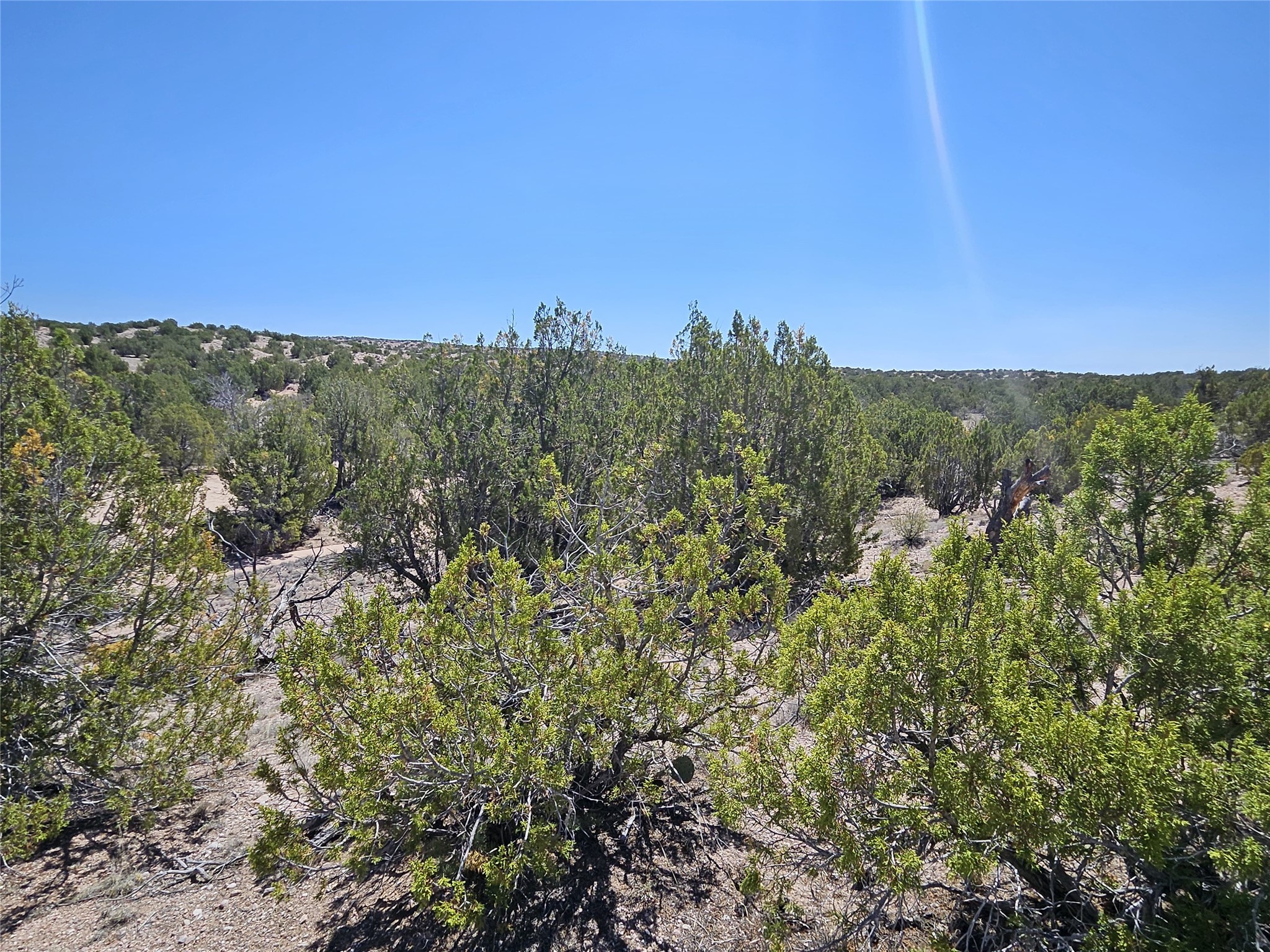 0 Unassigned Santa Fe, NM 87506 - Photo 11 of 12