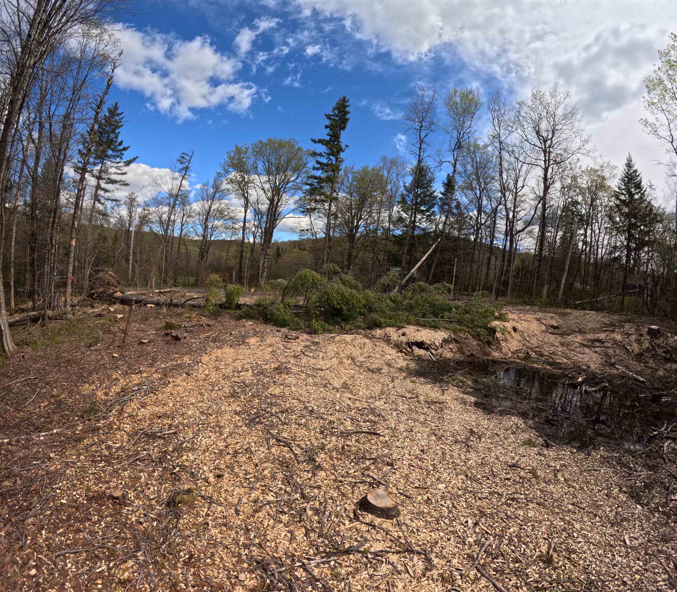 169 Sun And Ski Road Wilmington, VT 05363 - Photo 6 of 43
