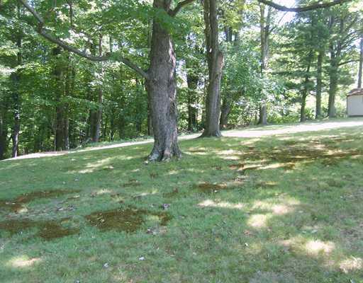 103 Ridgeside Road Pittsburgh, PA 15237 - Photo 16 of 17 Yard/Garden.