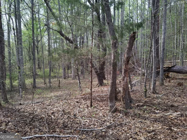 $69,000 | 75 Lee Lane, Greenville, GA 30222