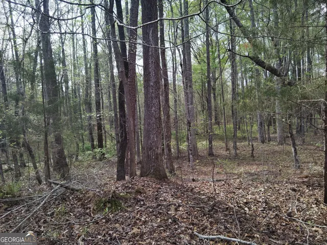 $69,000 | 75 Lee Lane, Greenville, GA 30222