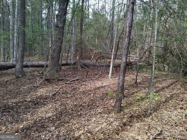 $69,000 | 75 Lee Lane, Greenville, GA 30222