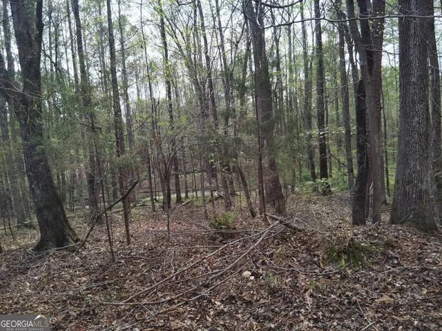 $69,000 | 75 Lee Lane, Greenville, GA 30222