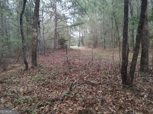 $69,000 | 75 Lee Lane, Greenville, GA 30222