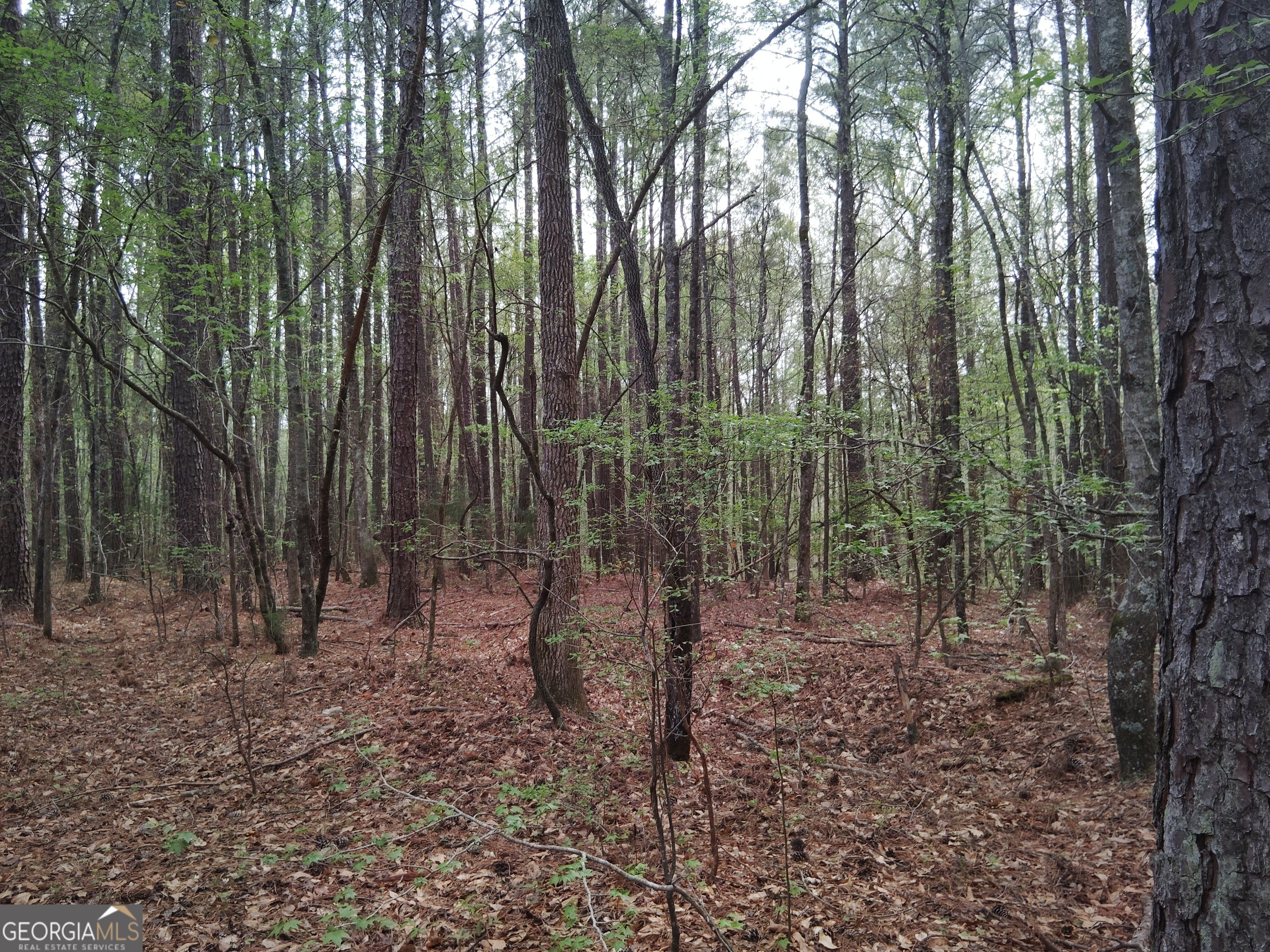 75 Lee Lane Greenville, GA 30222 - Photo 7 of 14