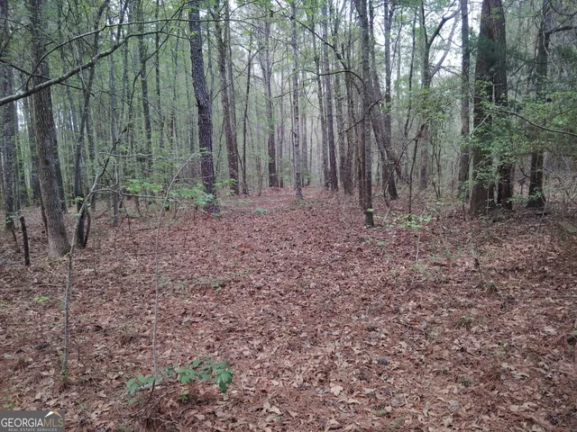 $69,000 | 75 Lee Lane, Greenville, GA 30222