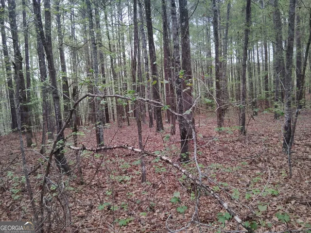 $69,000 | 75 Lee Lane, Greenville, GA 30222