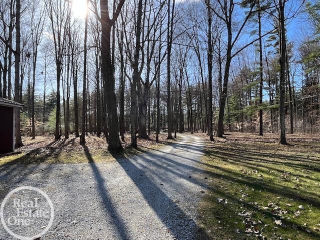 3846 Cribbins Road North Street, MI 48049 - Photo 59 of 62