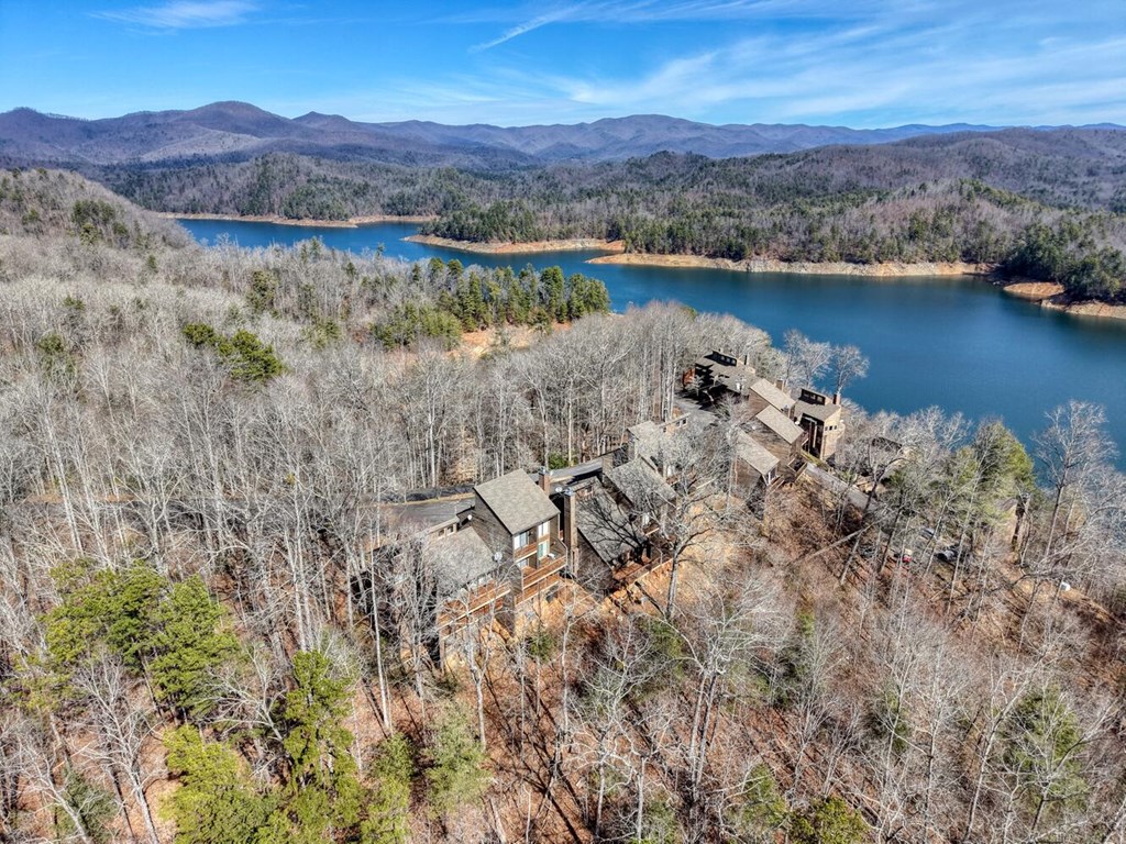 500 Marina Road Murphy, NC 28906 - Photo 50 of 75