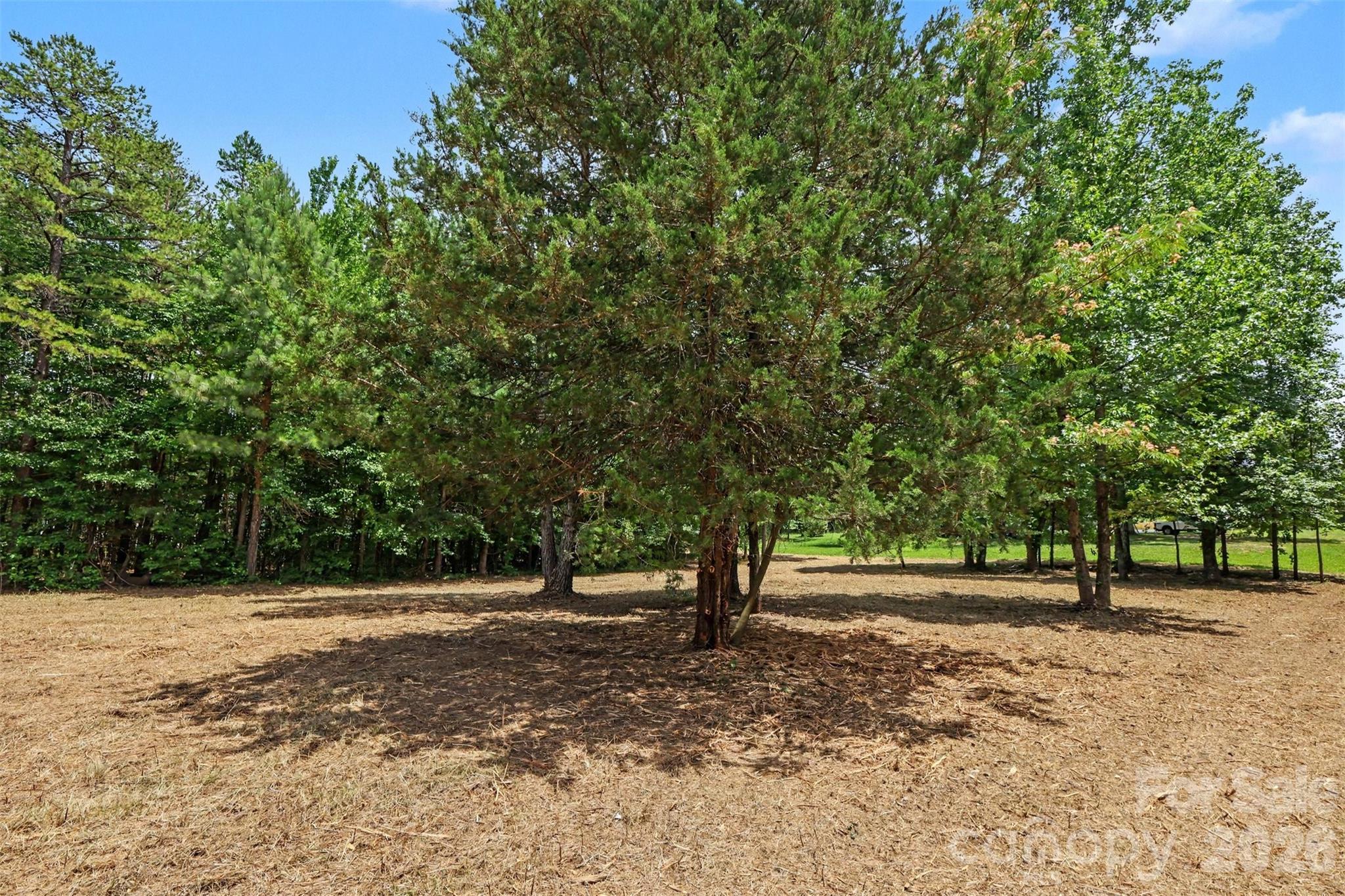1508 Union Road Matthews, NC 28104 - Photo 4 of 17