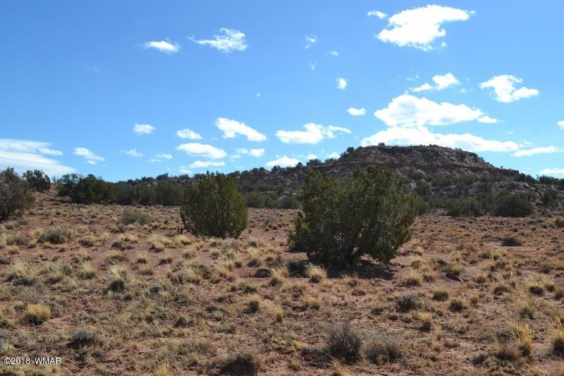 3367 Pointe Rock Road Snowflake, AZ 85937 - Photo 1 of 24 a view of a backyard of a house with a mountain