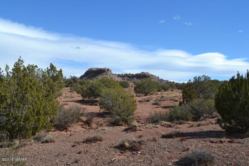 3367 Pointe Rock Road Snowflake, AZ 85937 - Photo 3 of 24 a view of a city with green space