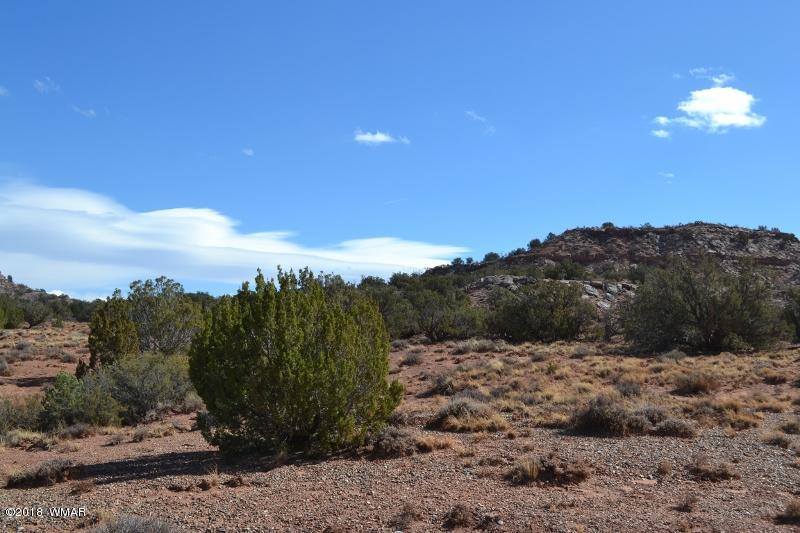 3367 Pointe Rock Road Snowflake, AZ 85937 - Photo 5 of 24 a view of a yard with a mountain