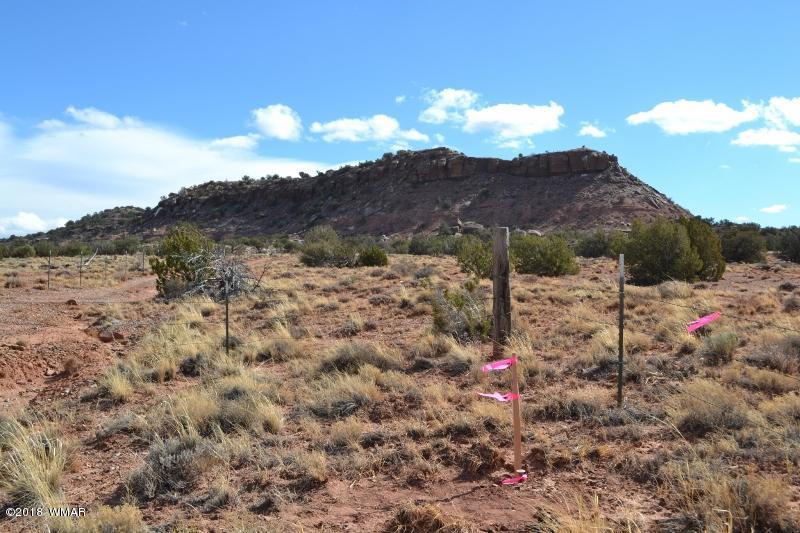 3367 Pointe Rock Road Snowflake, AZ 85937 - Photo 7 of 24 a view of a dry yard