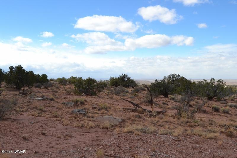 3367 Pointe Rock Road Snowflake, AZ 85937 - Photo 8 of 24 a view of a bunch of trees in a field