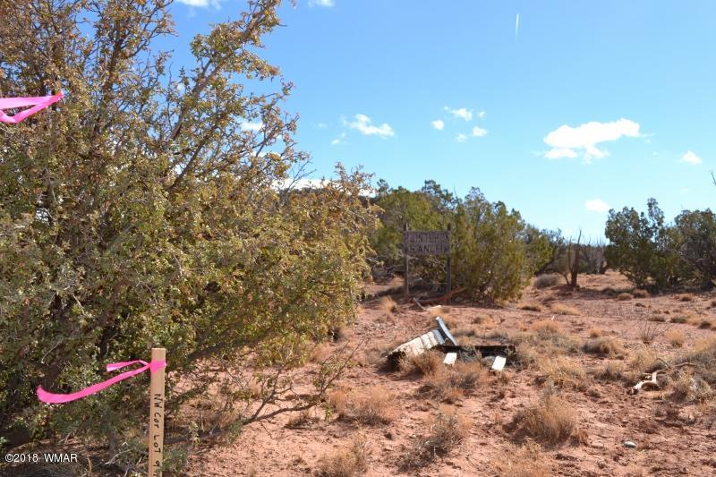 3367 Pointe Rock Road Snowflake, AZ 85937 - Photo 10 of 24 a view of outdoor space with trees all around