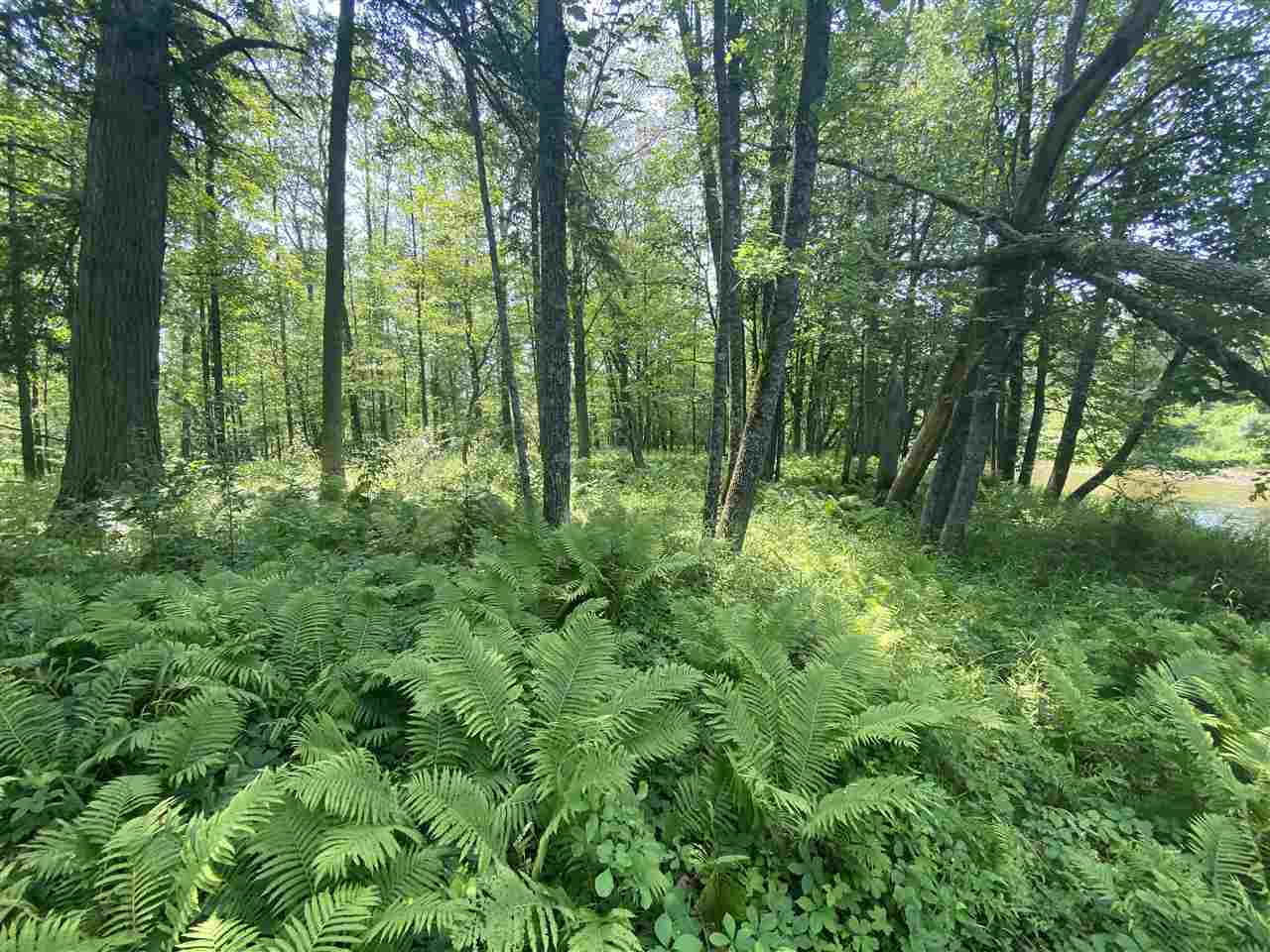 0 Briggs Road Omer, MI 48749 - Photo 21 of 45