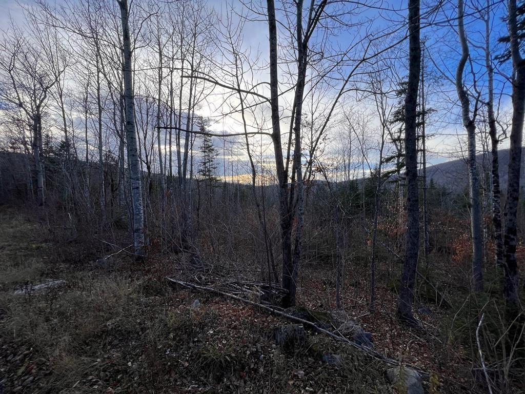 Lower Lower Road Oakfield, ME 04763 - Photo 5 of 7 WhatsApp Image 2022-11-04 at 3.55.43 PM
