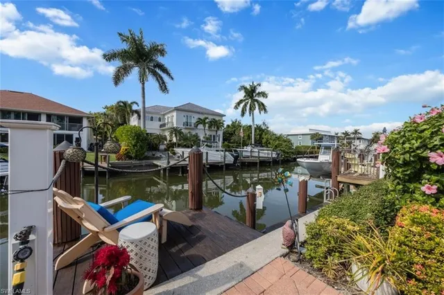 a lake view with palm trees