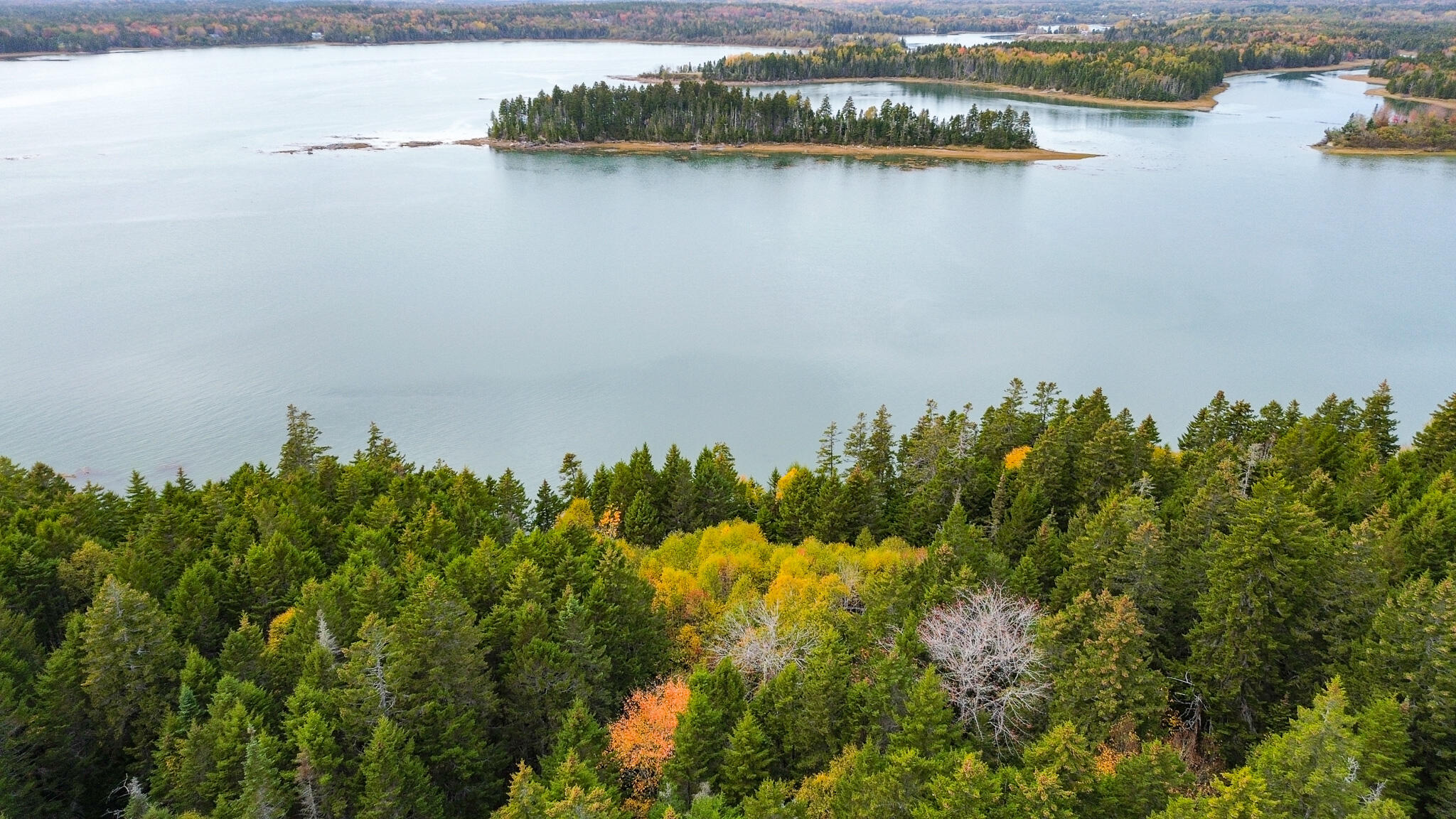 M2-lot6-5b Nepp Point Road Roque Bluffs, ME 04654 - Photo 15 of 18