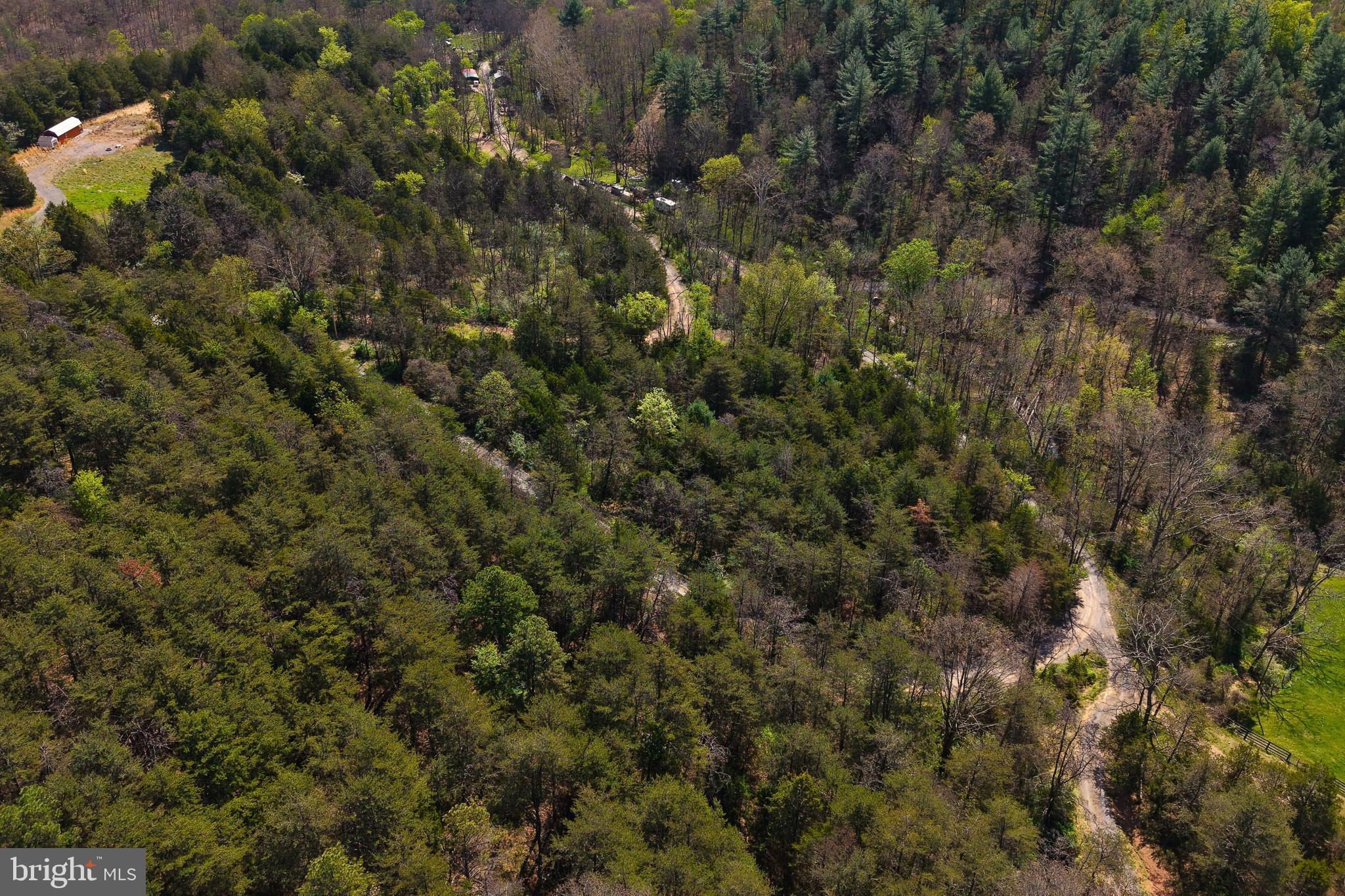 Lot 1 Deep Run Hollow Road Delray, WV 26714 - Photo 22 of 26