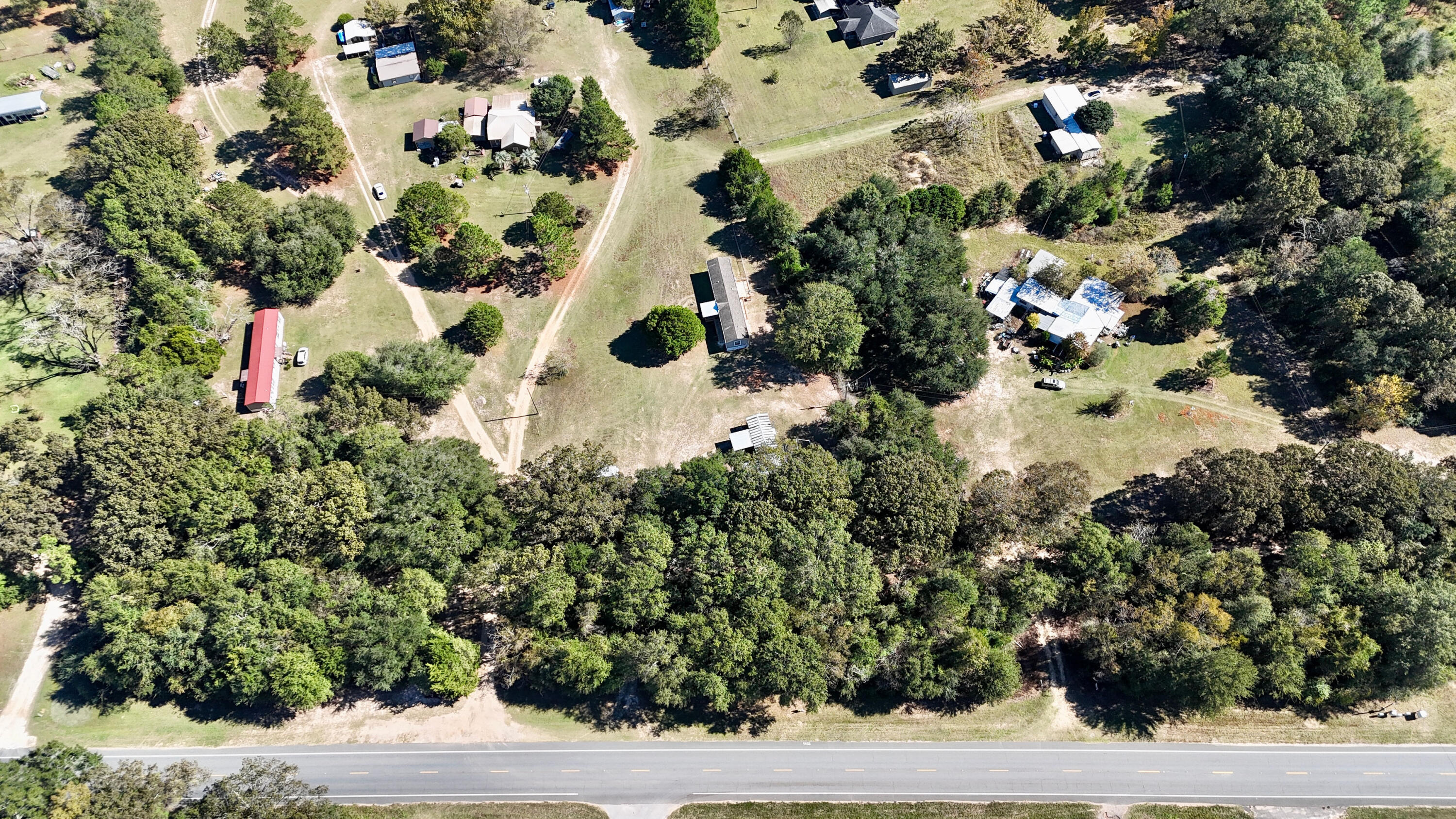 7419 Pappa Lawrence Road Laurel Hill, FL 32567 - Photo 40 of 40 a close up of a flower