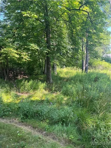 $49,000 | 36 Irvington Drive, Amherst, NY 14228