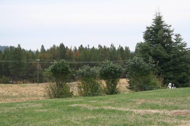 4038 Springdale-Hunters Road Springdale, WA 99173 - Photo 6 of 20