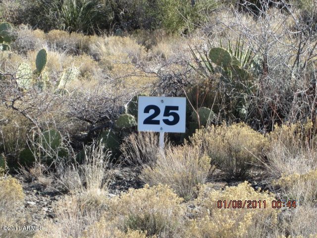 0 North Ruger Ranch, Unit 25 Kirkland, AZ 86332 - Photo 3 of 13 Look for Lot 25